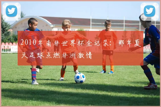 2010年南非世界杯全记录：那年夏天足球点燃非洲激情