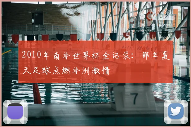 2010年南非世界杯全记录：那年夏天足球点燃非洲激情