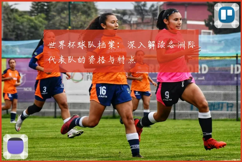 世界杯球队档案:深入解读各洲际代表队的资格与特点