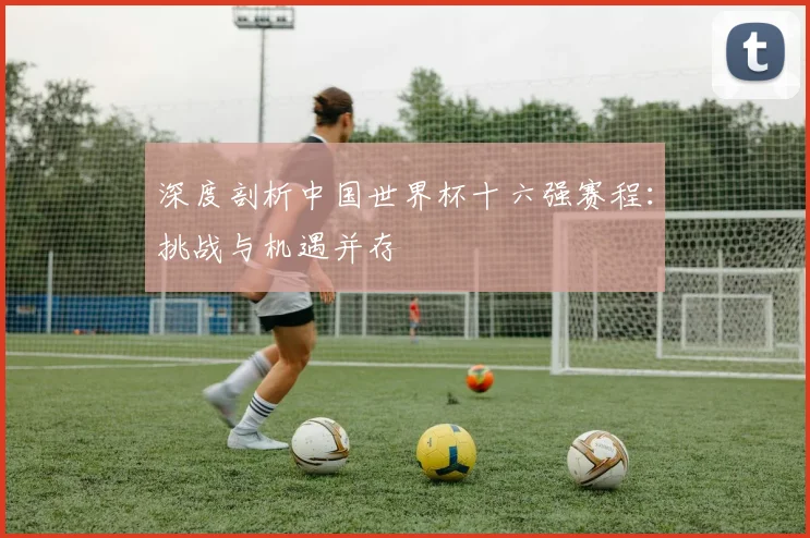 深度剖析中国世界杯十六强赛程：挑战与机遇并存