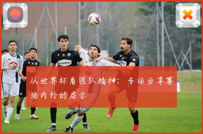 从世界杯看团队精神：专访分享赛场内外的启示